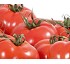 Tomates Beef Bio Coprohnijar 