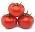 Semillas de Tomates Syngenta kuky