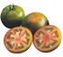 Semillas de Tomates Syngenta Atago (274271)
