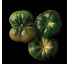 Tomate La Cañada - Níjar Asurcado