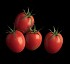 Tomate La Ca�ada - N�jar Oblongo