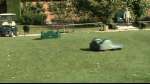 Dos robots recoge pelotas de golf de BelRobotics