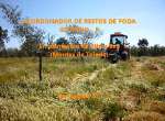 Acordonador de restos de poda GIROLIVO - R en plantación de olivar a 9x9 - Sermagasa S.l.