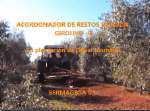 Acordonador de restos de poda GIROLIVO - R en plantación de olivar alomado - Sermagasa S.l.