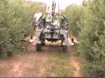 Recortadora de bajos de olivo