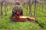 Desbrozadora de hierba interfila con tractor Carraro