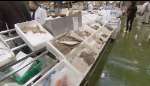 Cajas de pescado EPS: llega como recién pescado