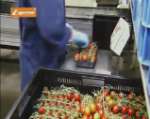 Espera - Sistema de impresión y aplicación para el etiquetado del tomate