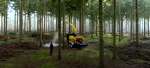 Astilladoras para madera forestal