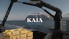 Kaia Seafoods: Raising the Standard for Alaska Seafood Quality
