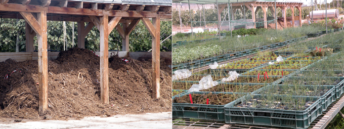 En el rea de Sostenibilidad se realizan proyectos de recuperacin de restos vegetales para compostaje (izq.) y de restauracin de plantas (dcha.)...