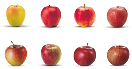 Las variedades de manzanas de la VI.P.