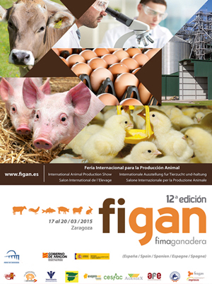 Cartel de Figan 2015
