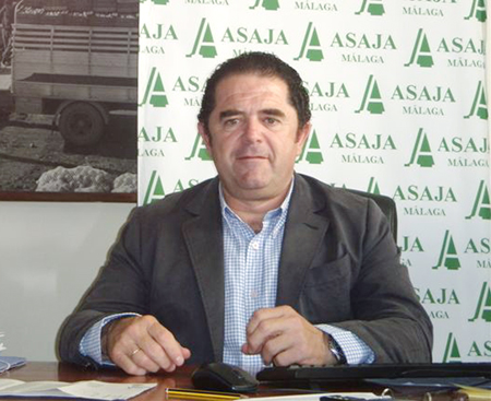 Baldomero Bellido, presidente de Asaja Mlaga