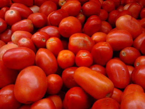 El sector de industria del tomate representa alrededor de 2,5 mil millones de euros en Italia