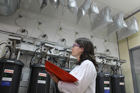 Ainia consigue producir a escala piloto biohidrgeno y biometano a partir de subproductos orgnicos