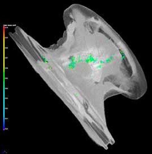 La tomografa 3D revela porosidades en la pieza fundida