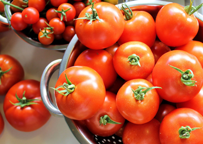 El crecimiento de importaciones de tomate de Marruecos ha aumentado ms de un 50%