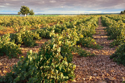 Agricultura publica una calculadora del pago verde