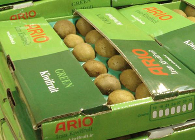 La temporada de kiwi ha empezado para Ario Fruit Co, que planea una mayor produccin y exportaciones en crecimiento, especialmente hacia Rusia...