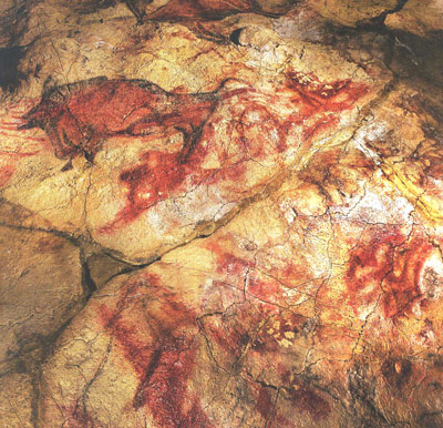 F3. Es la portada de Science 15 de junio 2008. Vista del techo de la cueva en Cantabria...
