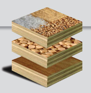 A partir de restos de la industria de la madera y termoplsticos reciclados se ha logrado la obtencin de un nuevo composite de plstico y madera...