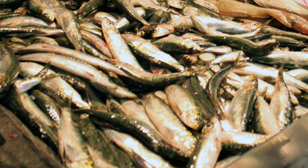 El aceite de pescado es un excelente nutracutico