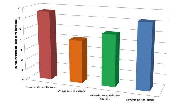 Valores medios de dureza instrumental (kg de fuerza) de carne de animales de raza Gascona de diferentes categoras comerciales (terneros...