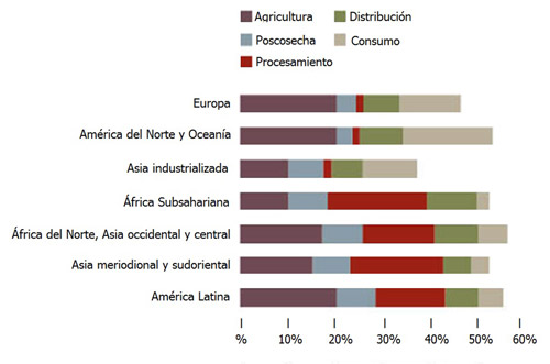 Figura 1: Prdidas de frutas y hortalizas a nivel mundial. Fuente: FAO 2012