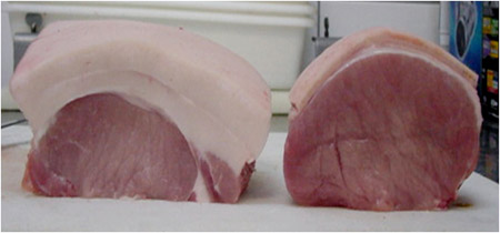 Lomo de cerdo con elevado (izquierda) i bajo (derecha) contenido en grasa subcutnea
