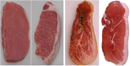 Lomo de cerdo (izquierda) y jamn curado (derecha) con diferentes niveles de marbreado o grasa infiltrada