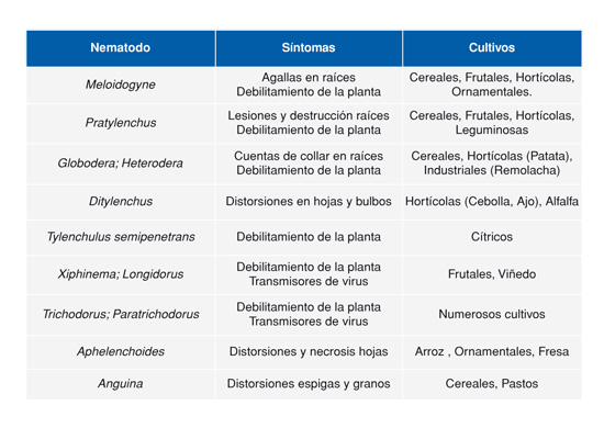 Tabla 1. Sntomas y cultivos susceptibles a los principales nematodos fitoparsitos en Espaa