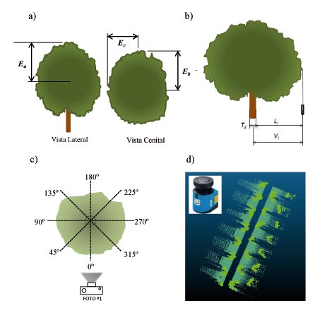 Figura 3. Mtodos de caracterizacin de copa: a) Mtodo Elipsoide b) Mtodo rea Proyectada c) Mtodo Silueta d) Mtodo Volumen LiDAR...