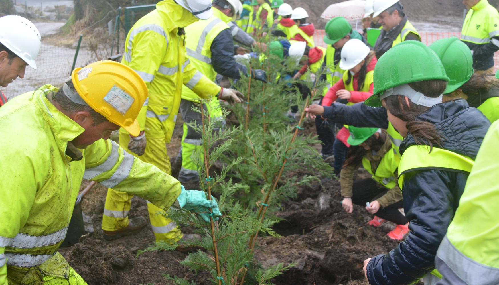 Alumnos del colegio Labaca (A Coruña) celebran el Día de los Árboles y los  Áridos plantando árboles - Obras públicas