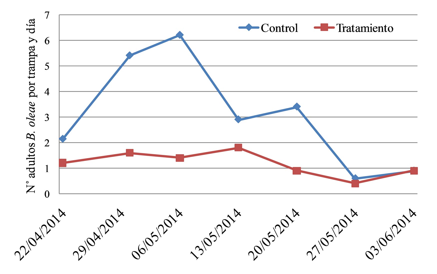 Figura 5. Densidad de la poblacin de B. oleae en fincas tratadas y control tras la aplicacin de una cepa del hongo entomopatgeno M...