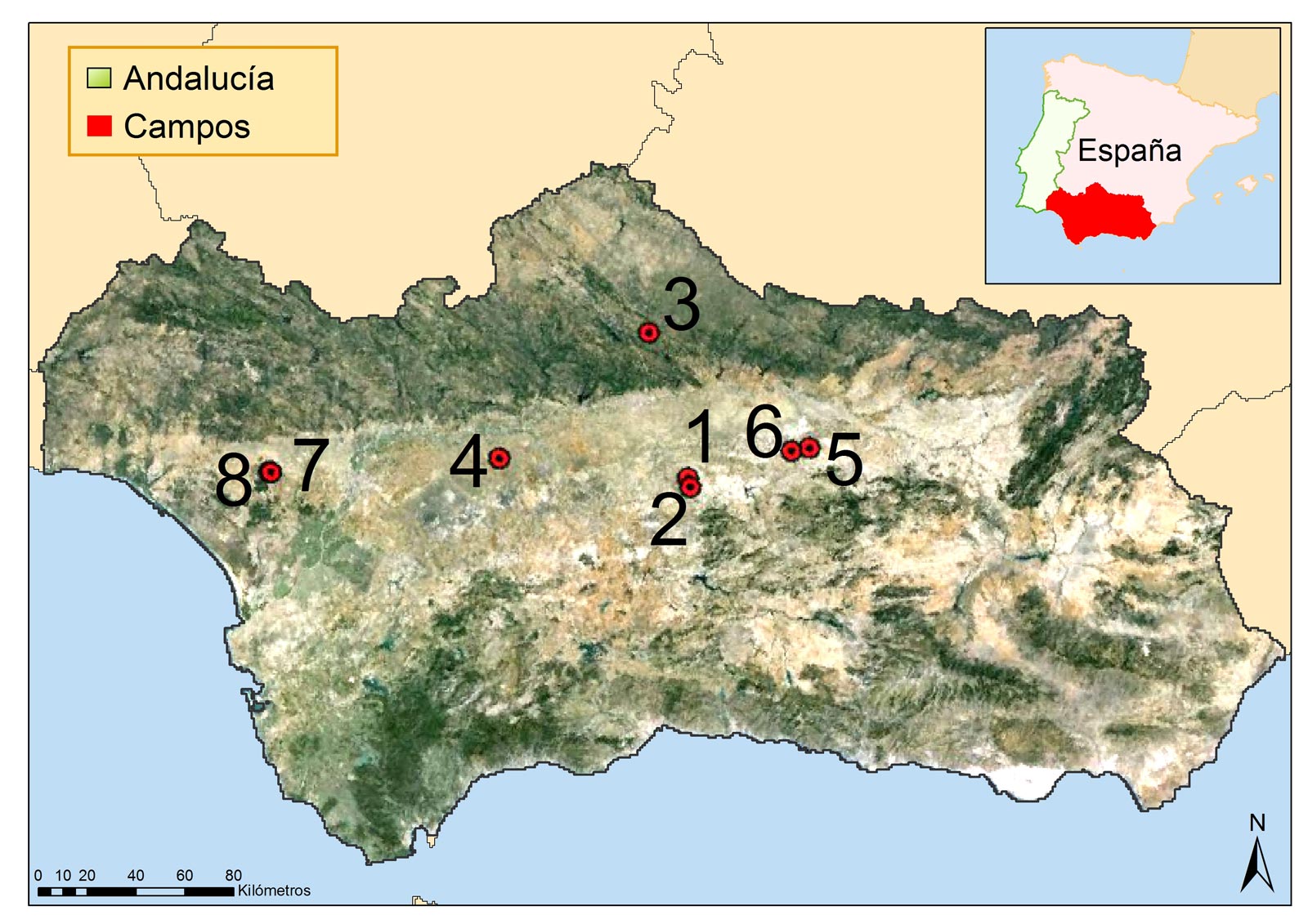 Figura 4. Distribucin de los campos experimentales en la Comunidad Autnoma de Andaluca