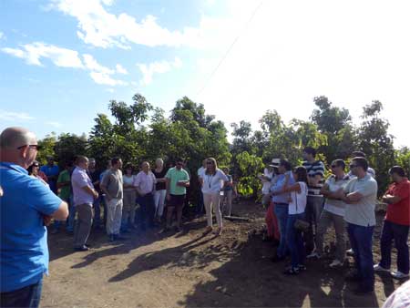 Asaja Mlaga celebra perodicamente jornadas en las que explica a los agricultores las ventajas de la agricultura ecolgica...