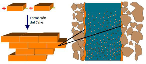 Figura 1: Formacin del cake en el interior de una pila estabilizado con lodo bentontico
