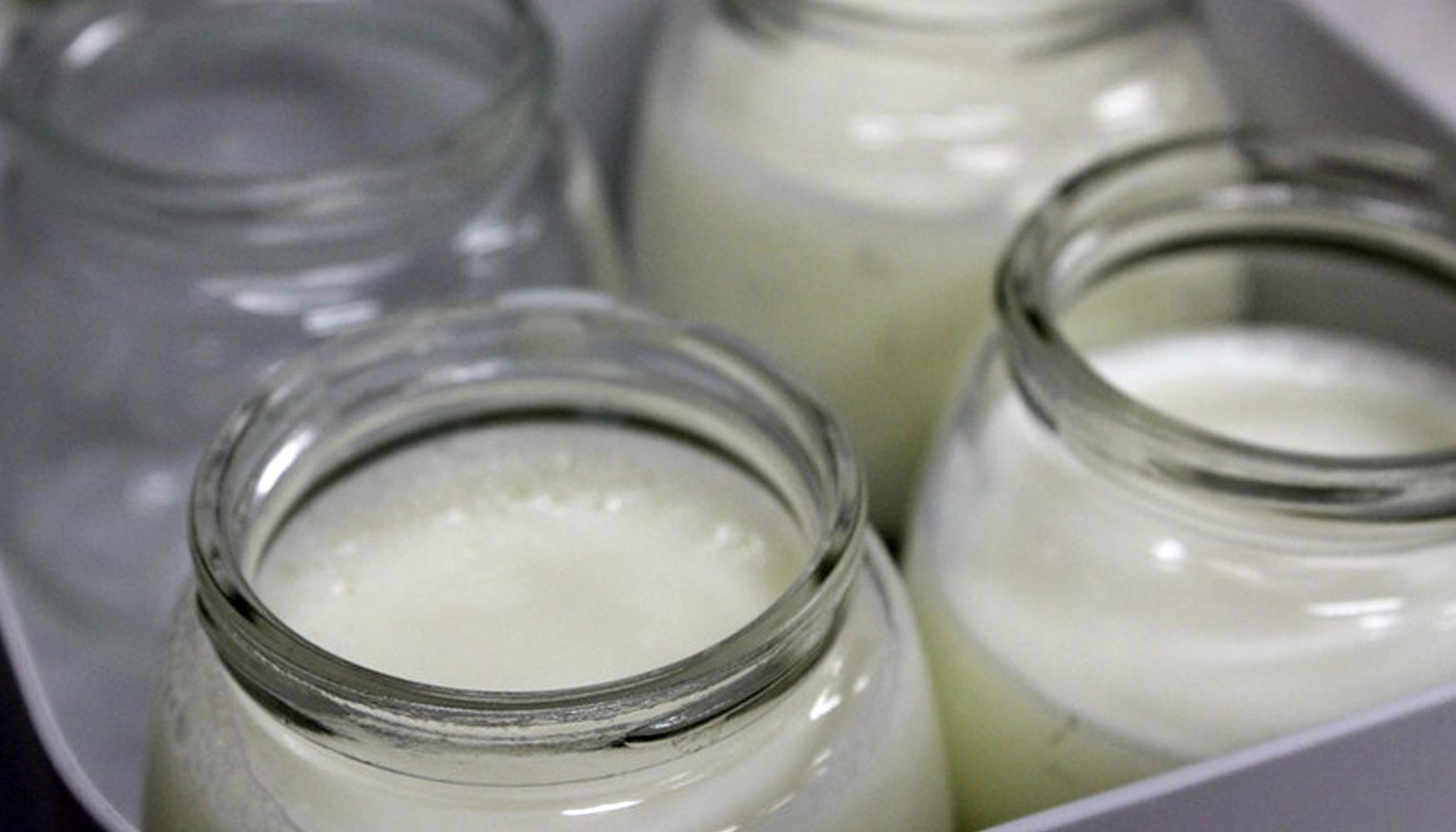 Los investigadores han conseguido yogures con un alto contenido en protenas y mayor capacidad saciante