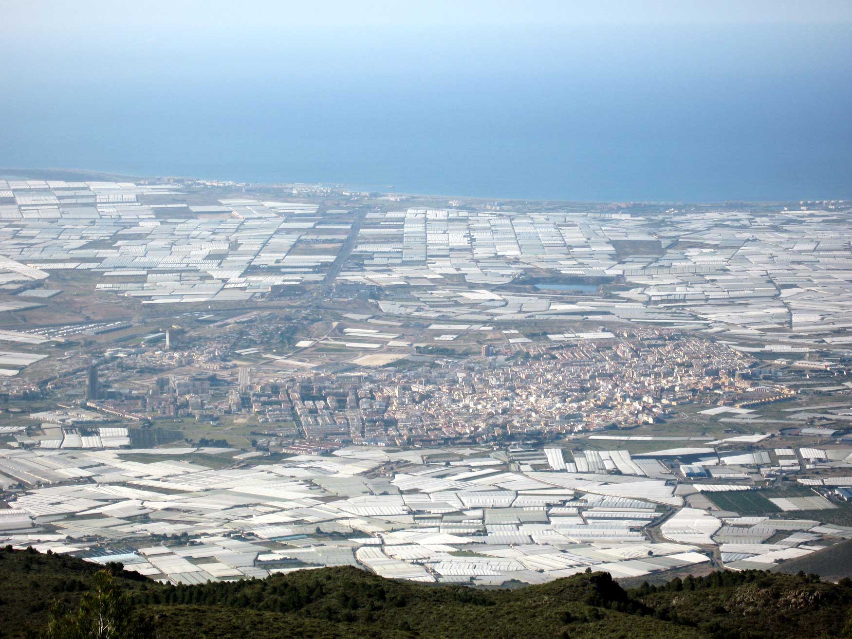 La combinación de suelo arenado e invernadero tipo Almería sigue siendo