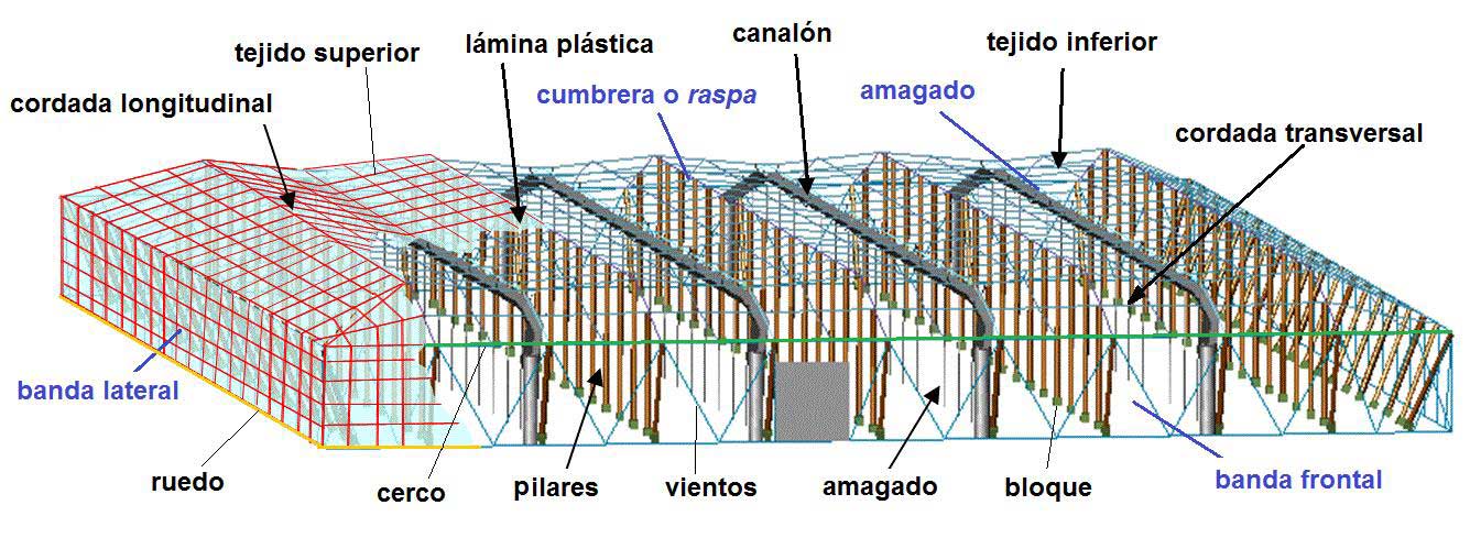 Figura 4. Estructura de invernadero tipo Almera