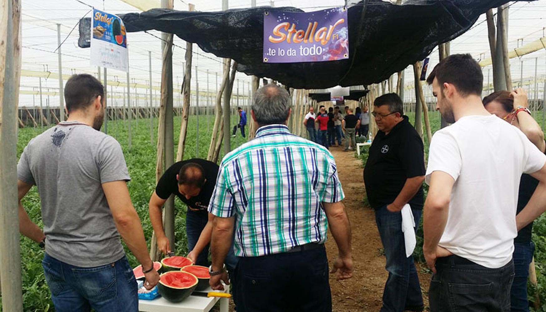 El equipo de sanda mostrando a los asistentes al evento los beneficios de Stellar F1