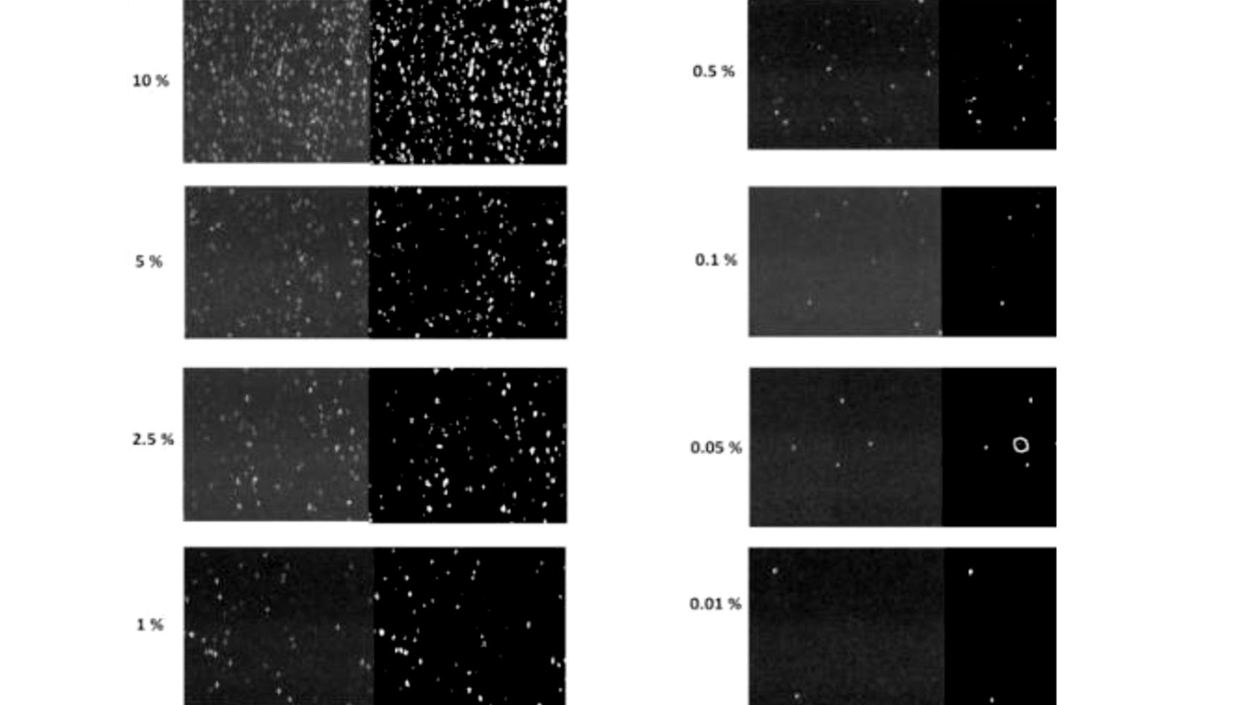 Im�genes visryuales de muestras de harina con diferentes niveles de contenido de polvo de cacahuete, desde el 10% hasta el 0,01%...