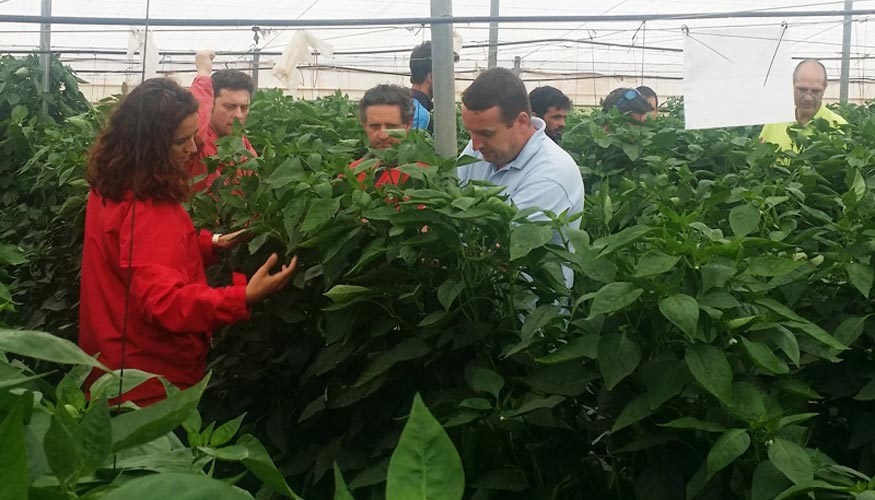 El equipo de pimiento de Bayer CropScience Vegetable Seeds comentando con los asistentes los beneficios de las variedades...