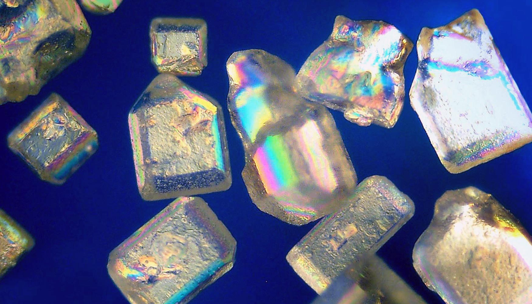 Cristales de azcar, uno de los aditivos edulcorantes ms utilizados, bajo el microscopio