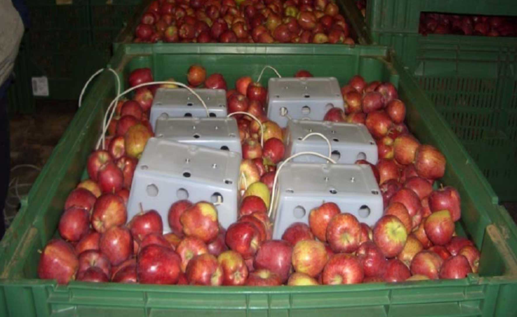Figura 3. Sensores instalados en un contendedor de manzanas que miden la fluorescencia emitida por los frutos