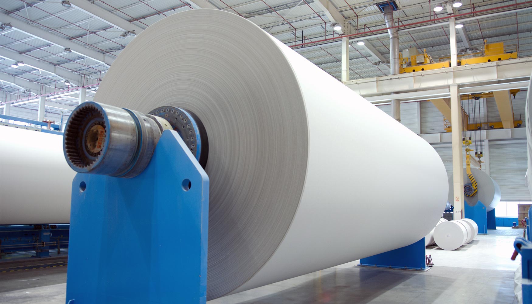 Viaje Frontera Omitir La industria del papel vuelve a crecer - Gráficas