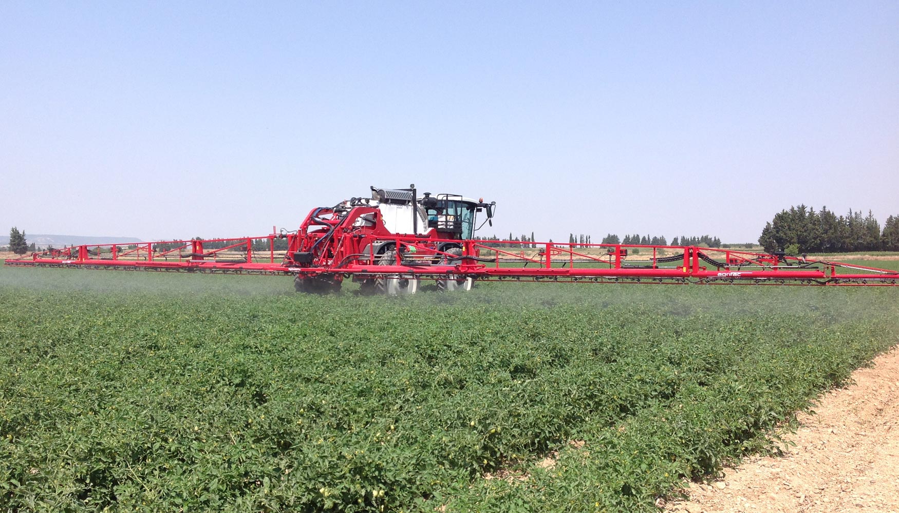 Condor ClearancePlus trabajando en cultivo de tomates