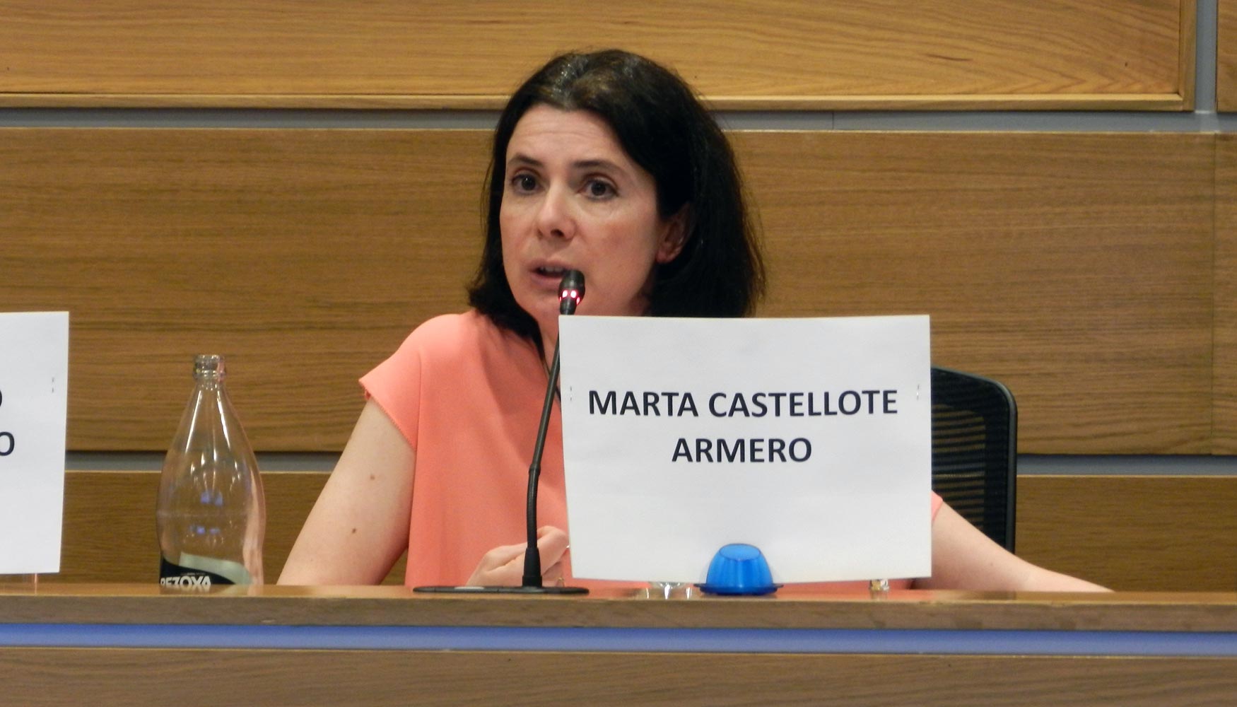 La directora del Instituto de Ciencias de la Construccin EduardoTorroja, Marta Castellote Armero