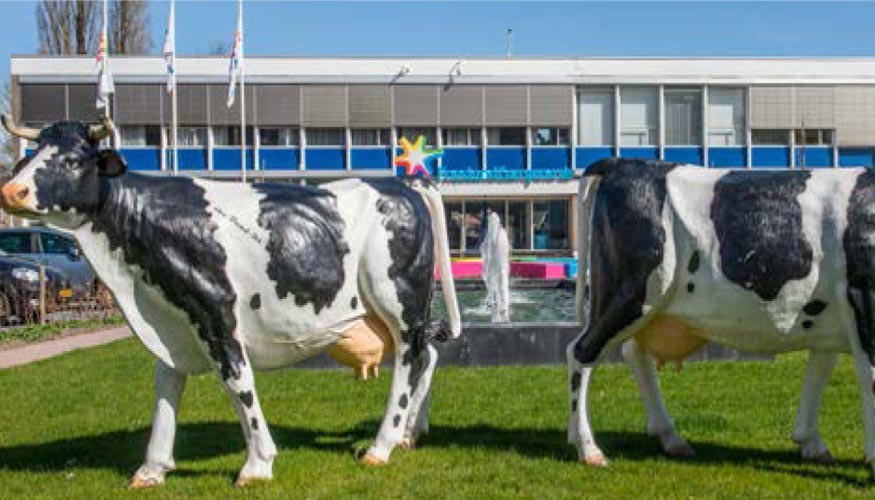 FrieslandCampina procesa 8.500 millones de litros de leche solo en los Pases Bajos